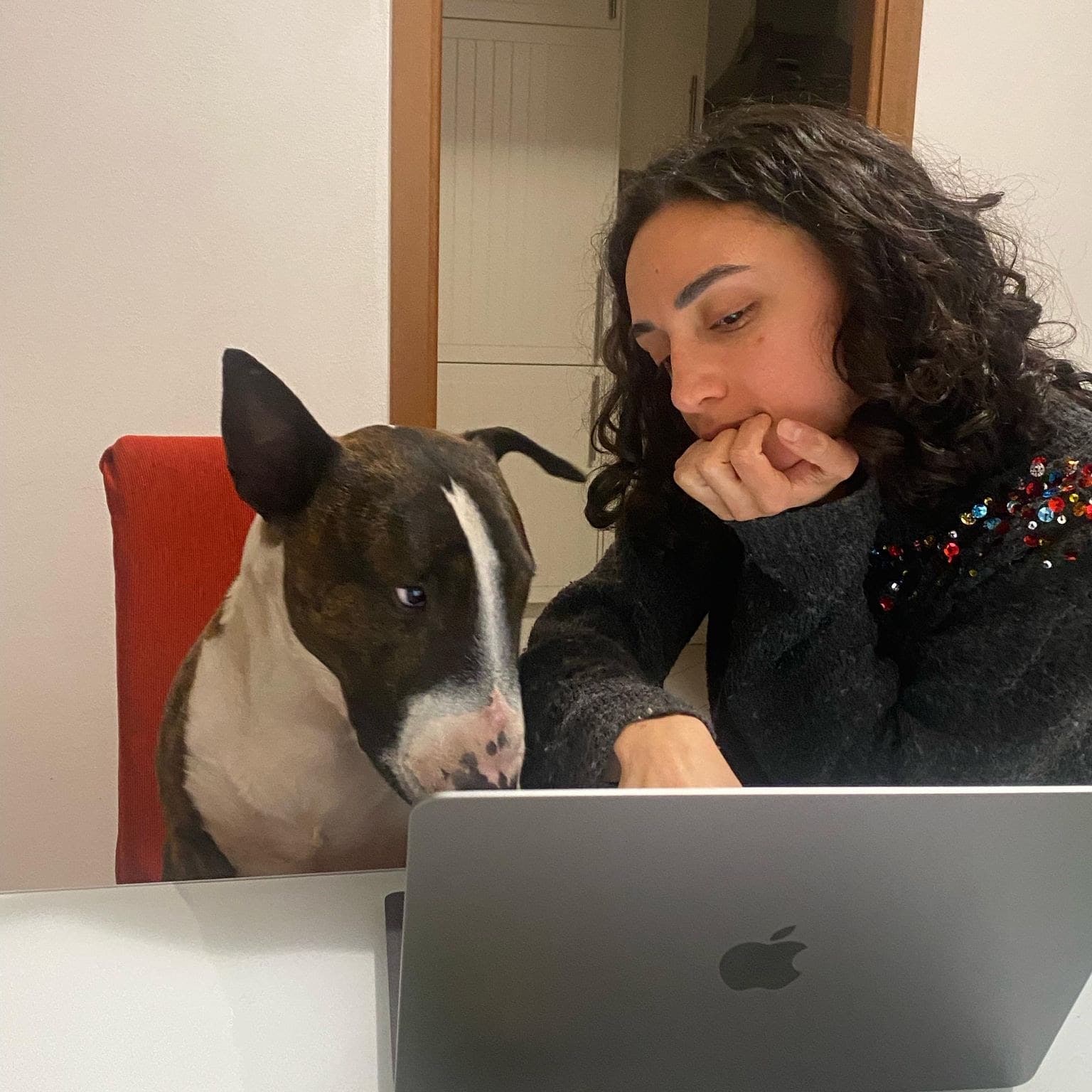 Marta Filippini al computer con il suo cane accanto